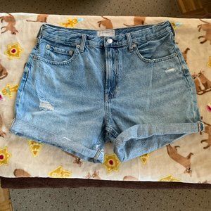 Everlane denim short (distressed style, size 30)